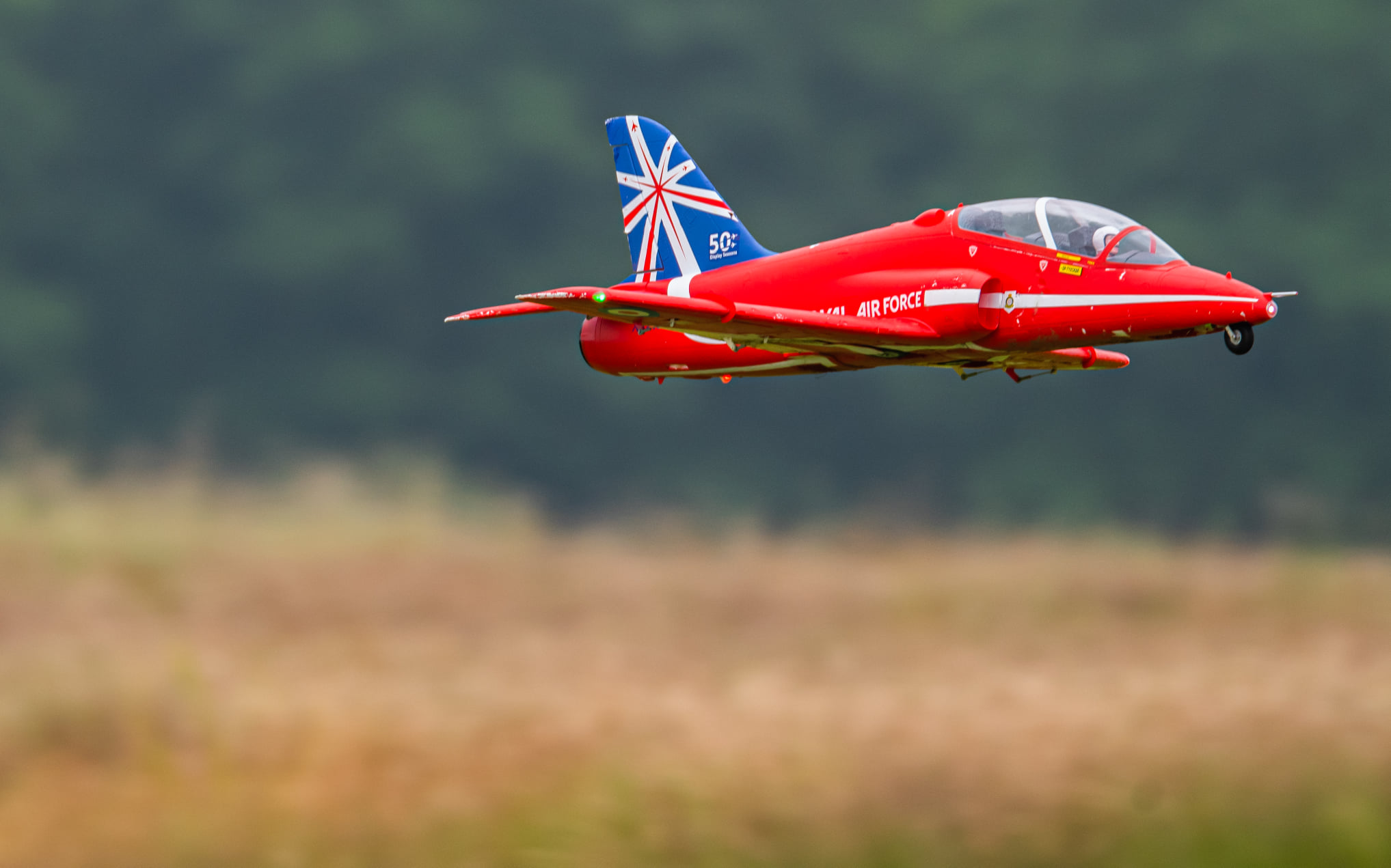 Hawk 1